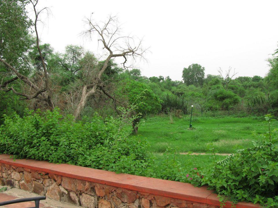 Hotel Bharatpur Ashok Exterior photo